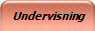 Undervisning 
