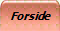 Forside